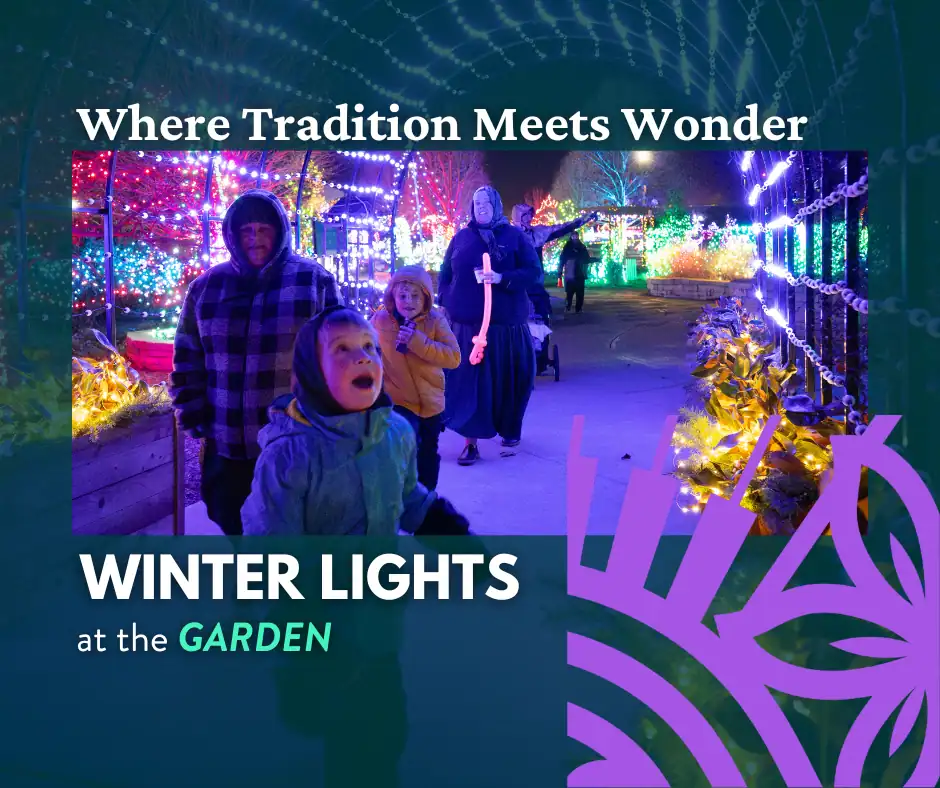 Vibrant winter lights illuminate The Cultural Trust Garden during the Winter Lights festival, creati.
