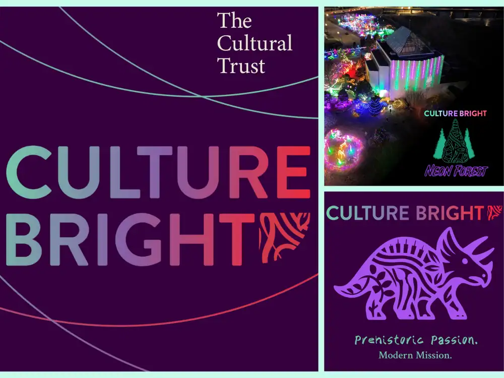 Vibrant Culture Bright event poster with colorful lights and artistic designs.