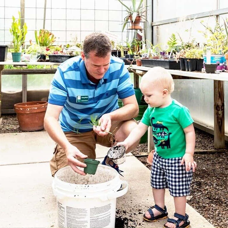 Man and boy planting seedlings in a greenhouse nursery.