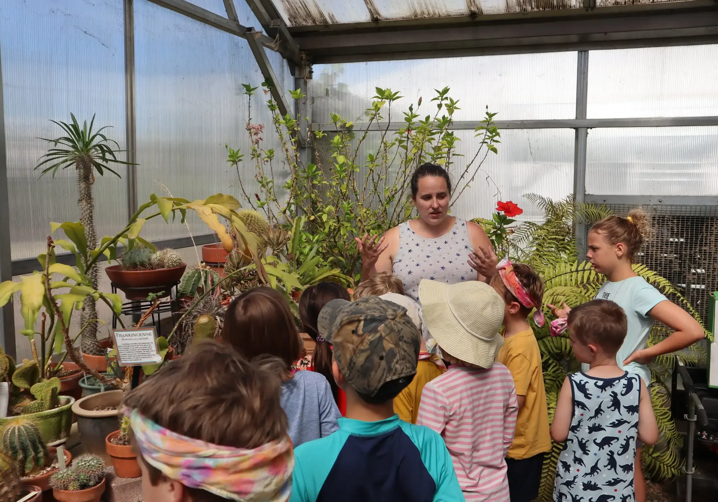 Children learning about plants during a garden workshop at The Cultural Trust.